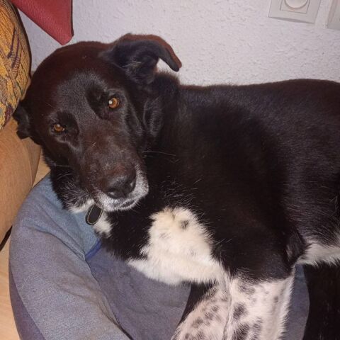 OHRID 50 26100 Romans-sur-is�re