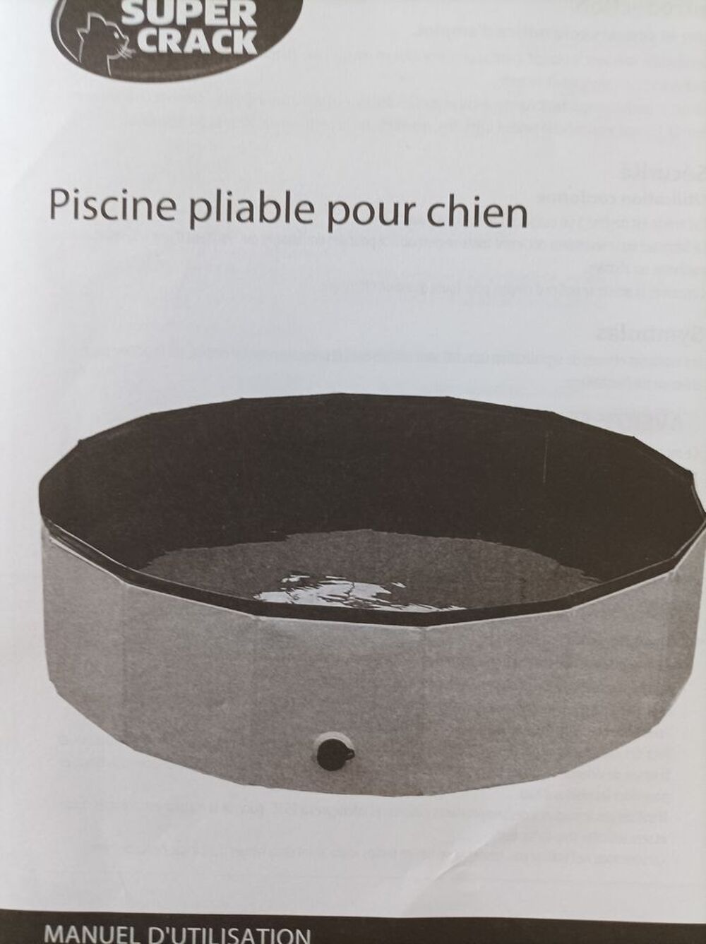 Piscine pliable pour chien Jardin