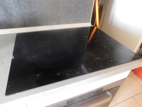 Plaque induc 130 Lucciana (20)