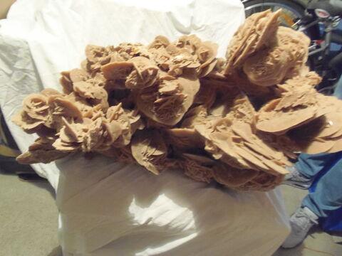 ROSE DES SABLES GEANTE 100 Clermont-Ferrand (63)