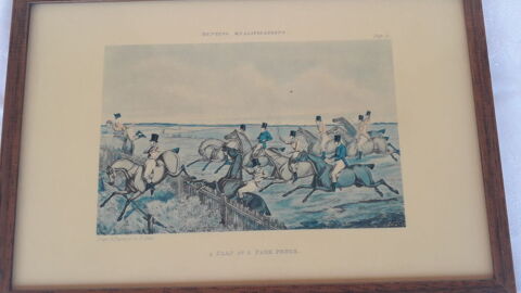 Hunting qualifications
40 Salon-de-Provence (13)
