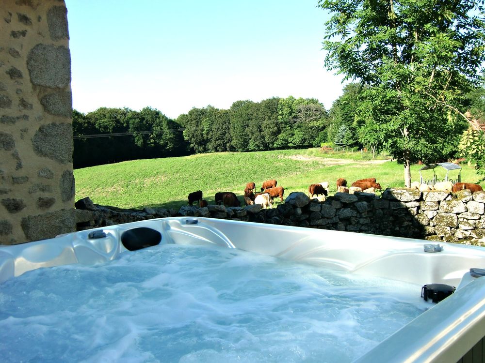   Maison rénovée -ferme - Jacuzzi - Pêche Lac- Wifi Auvergne, Roumégoux (15290)
