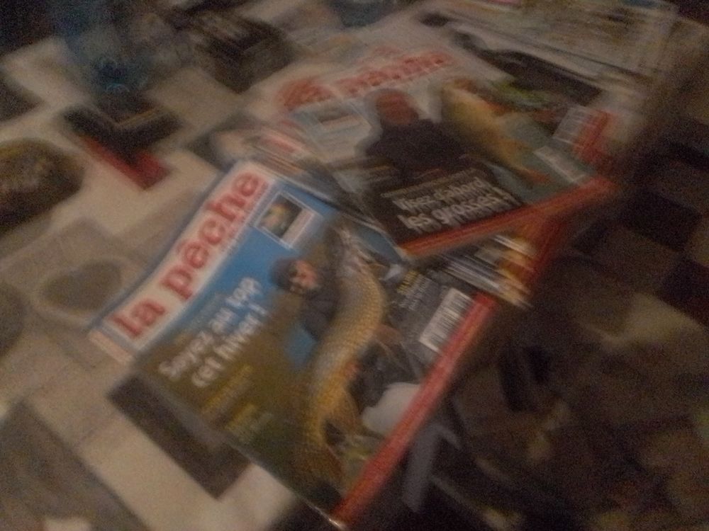 Lot de revues la p&ecirc;che et les poissons Livres et BD