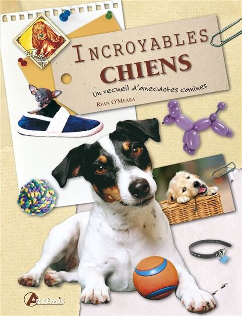 Incroyables chiens par Ryan O'MEARA 8 Montauban (82)
