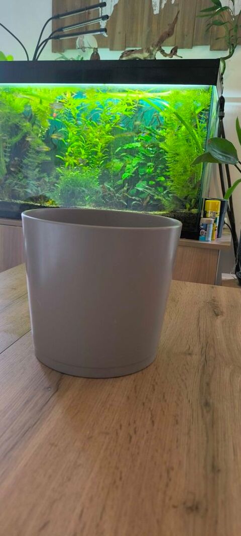 cache pot Le Perreux-sur-Marne (94)