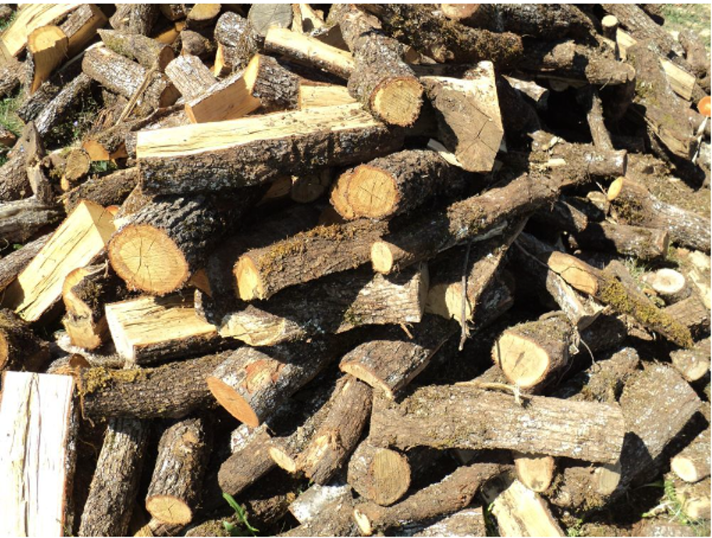 Bois de chauffage Jardin