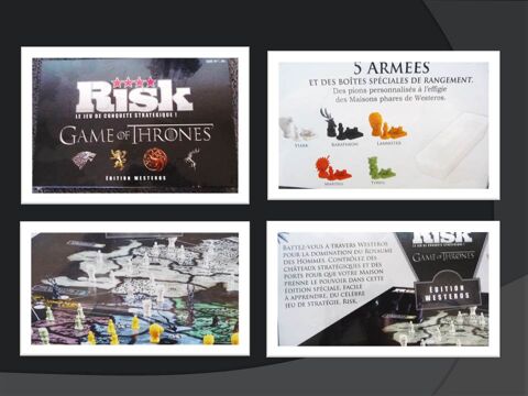 Jeu Risk  Game of Thrones  Edition Westeros  100 Nice (06)