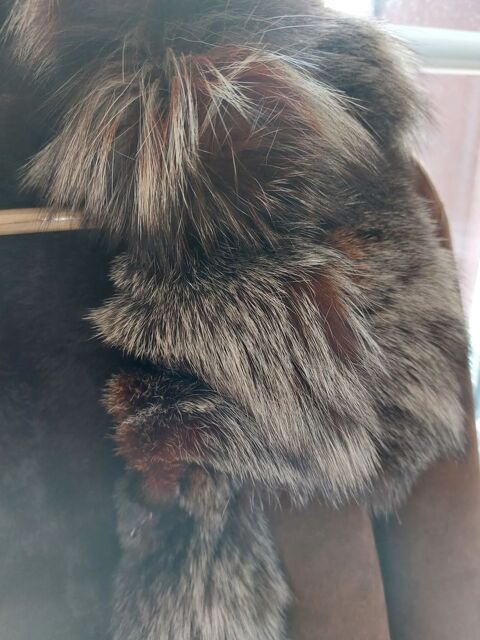 Manteau 80 Brou (28)