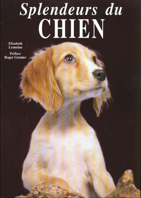 Splendeurs du chien 7 Villiers (86)