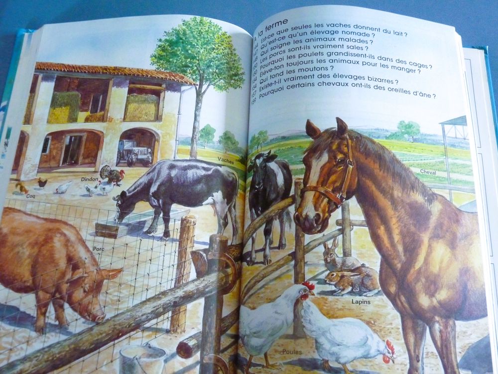 Livre Le monde &eacute;tonnant des animaux 300 questions 300 r&eacute;pons Livres et BD