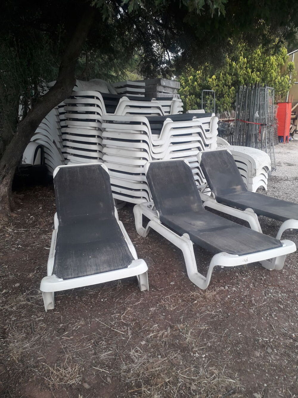 BEAU TRANSAT NOIR ET BLANC Jardin