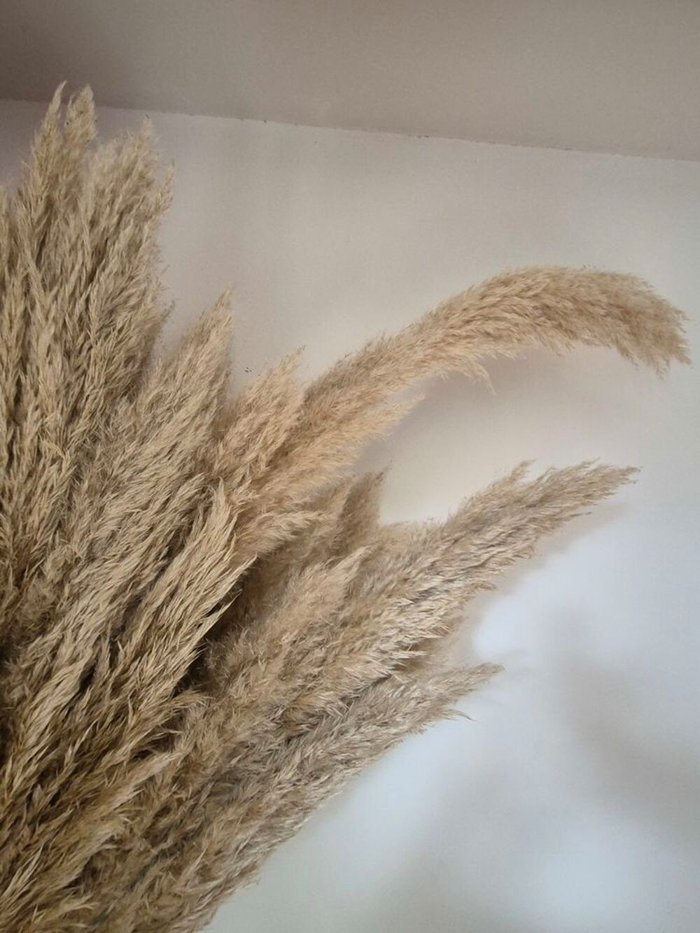 BOUQUET DE TIGE DE PAMPA Décoration