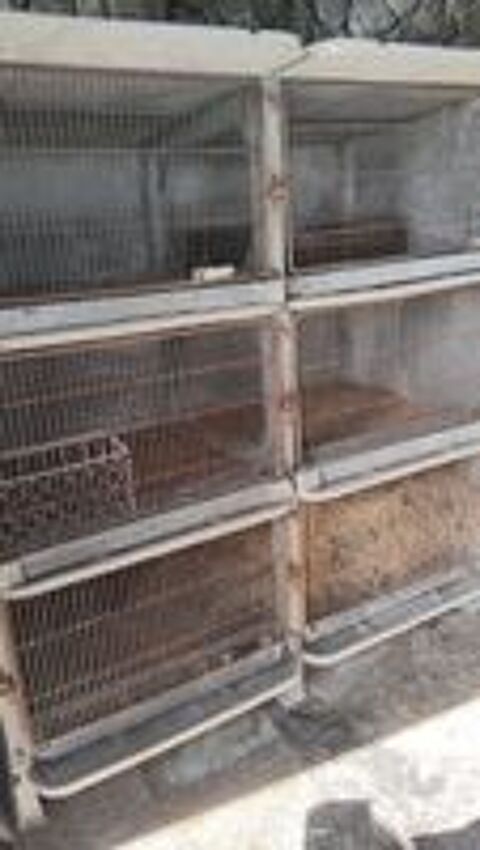   Clapier pour lapins  