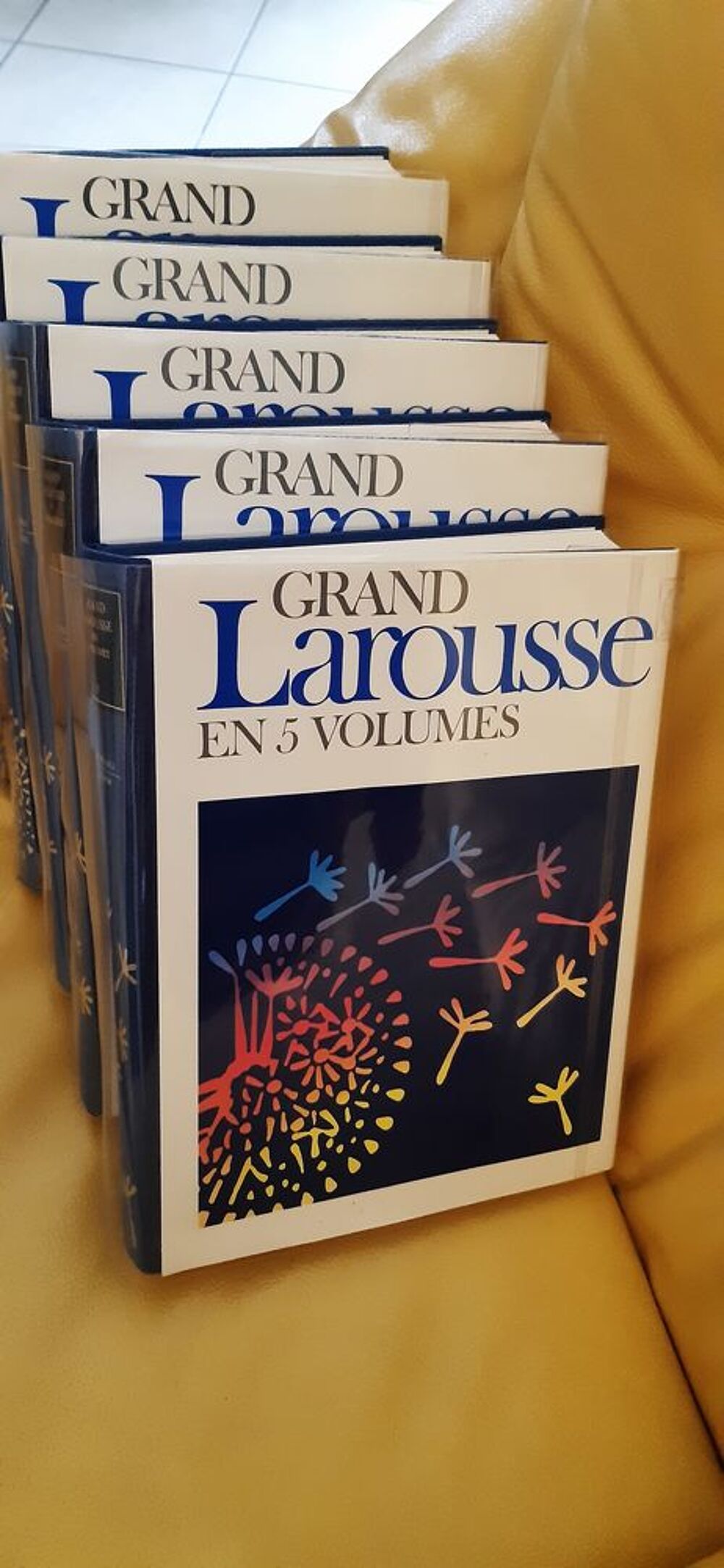 Collection Larousse en 5 volumes et polars Livres et BD