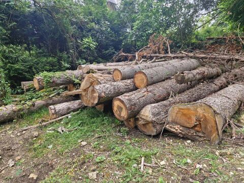 bois de chauffage 20 78955 Carrières-sous-poissy