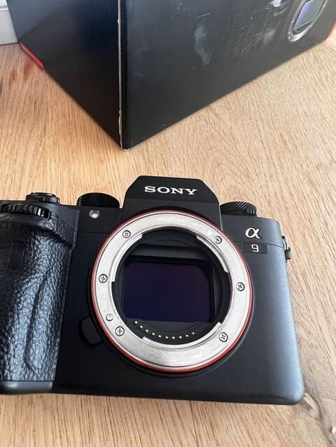 Sony A9 1750 Vannes (56)