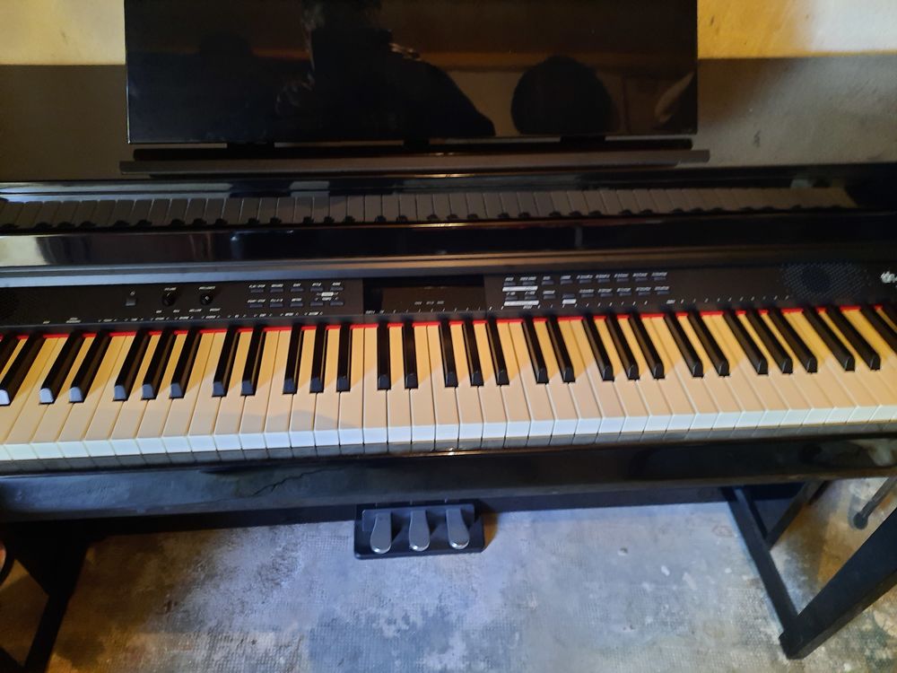 piano num&eacute;rique THOMANN de 2017 ref DP 51BP achet&eacute; 698,00
Instruments de musique