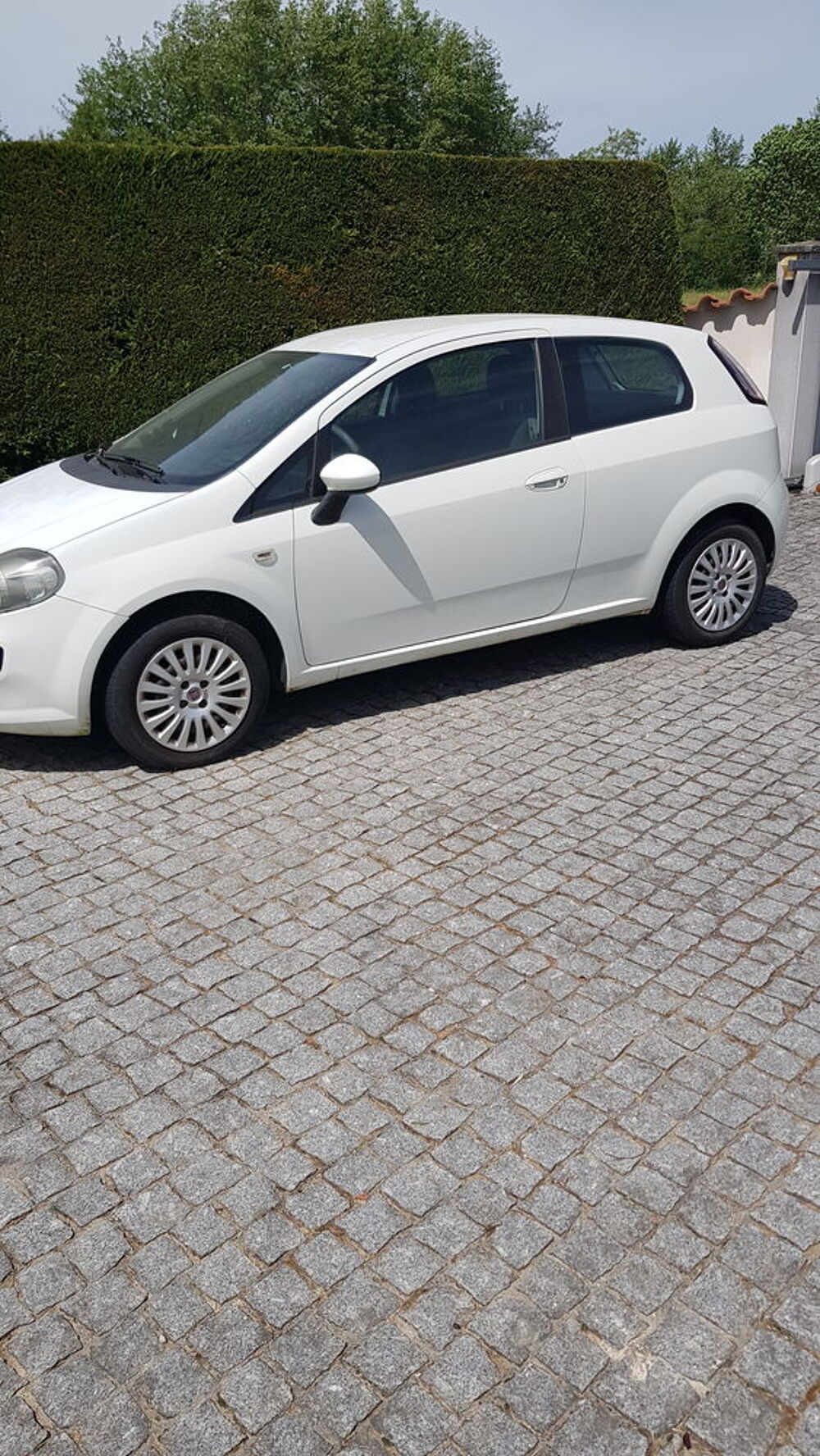 Punto 1.3 Multijet 16V 75 Lounge 2012 occasion 01540 Vonnas