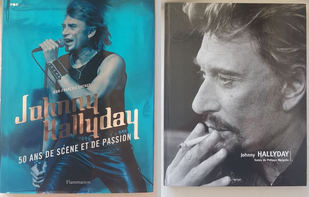 lot de Livres johnny hallyday Livres et BD