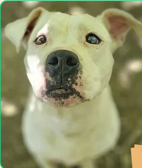 Nalah 230 26700 Pierrelatte