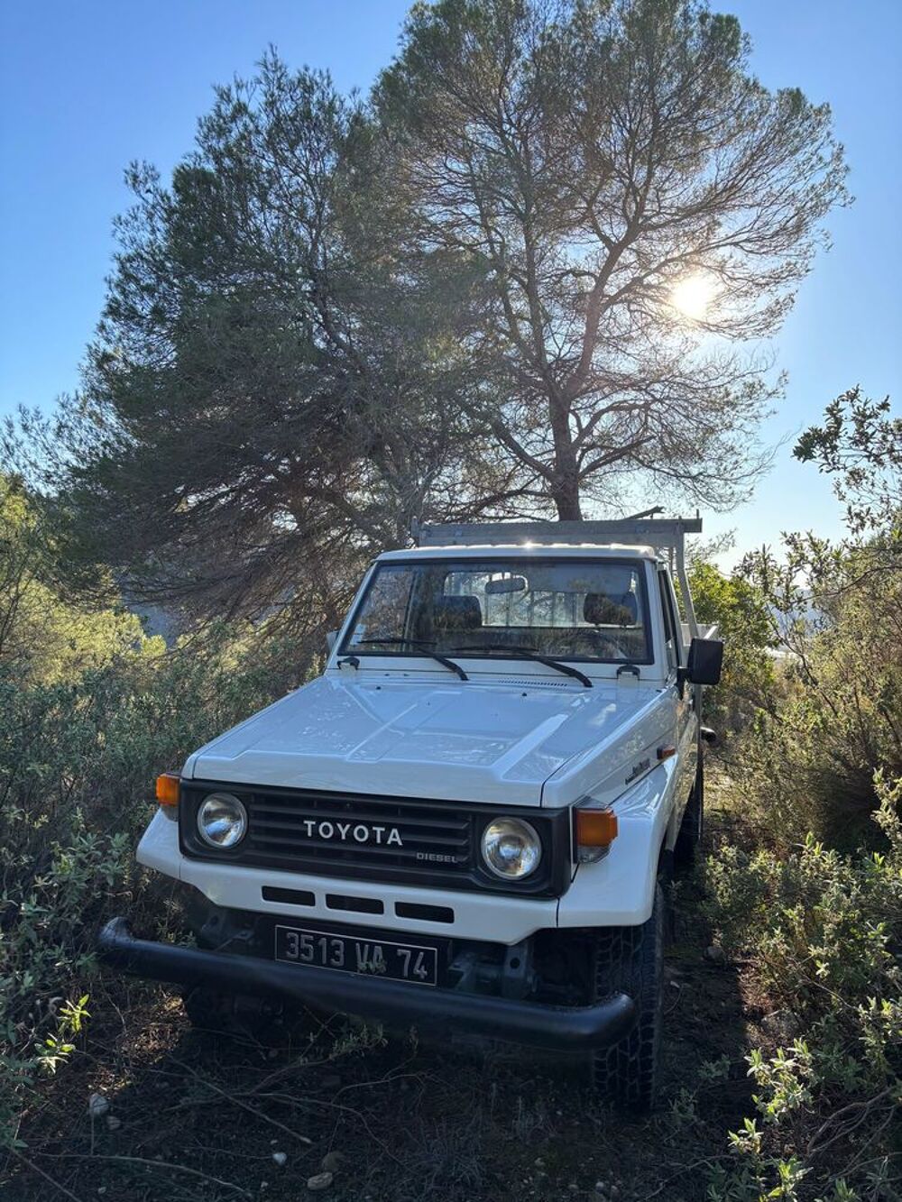 Land Cruiser HZJ 75 1993 occasion 06510 Gatti&egrave;res