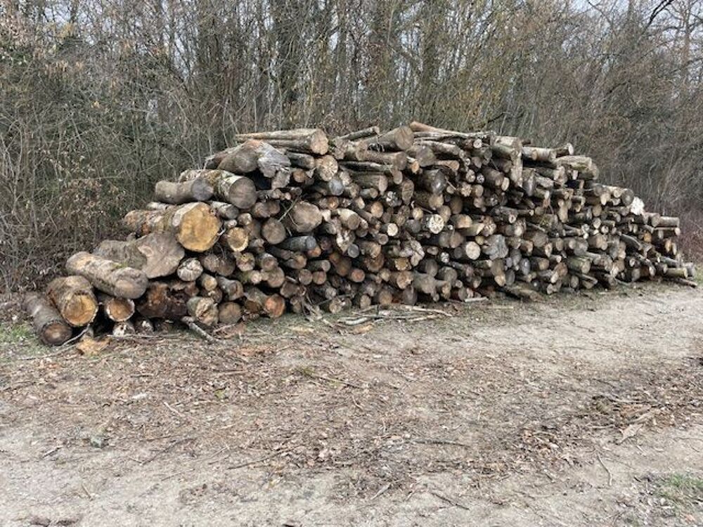 BOIS DE CHAUFFAGE Bricolage