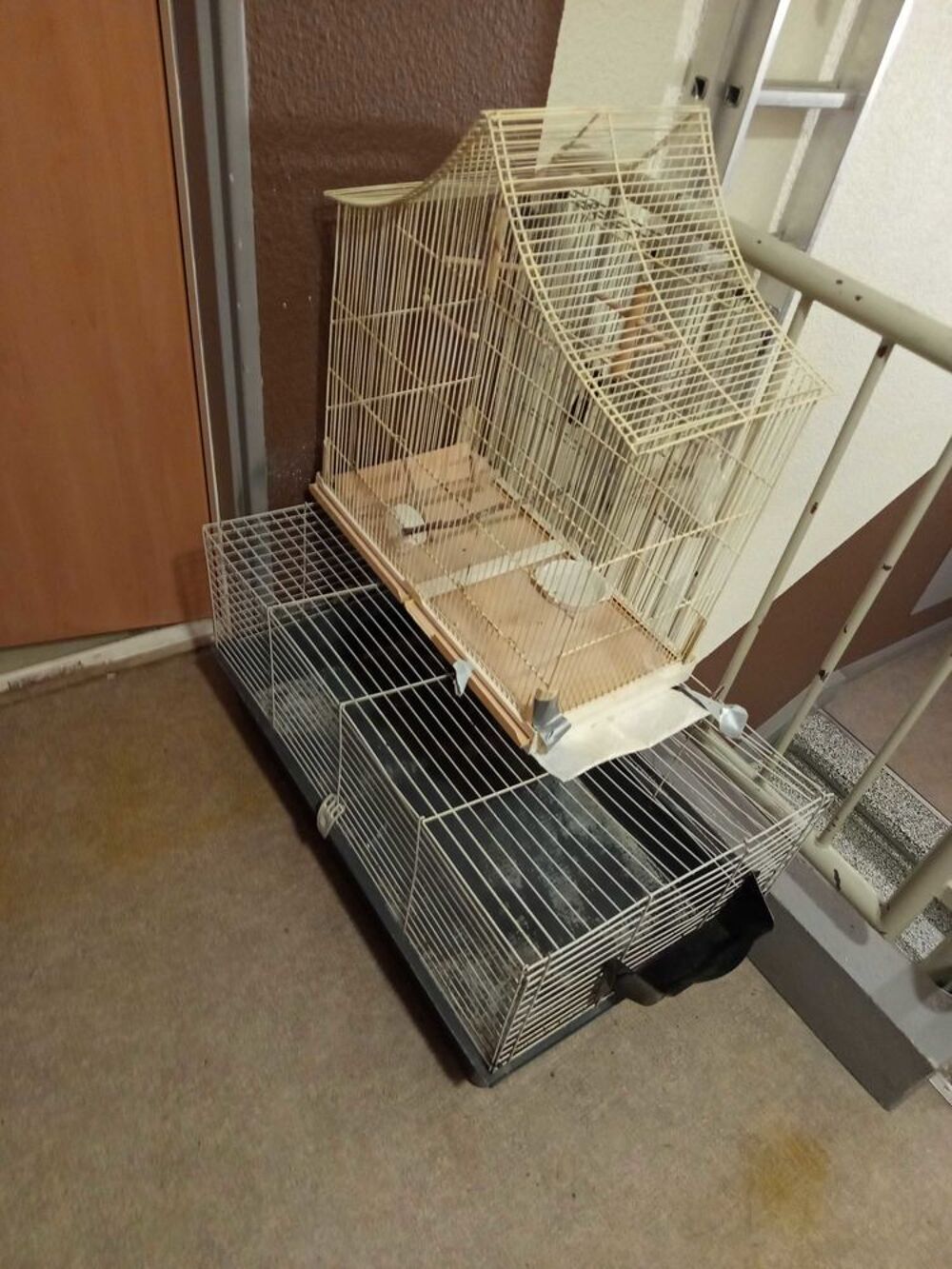 cage &agrave; oiseaux Jardin