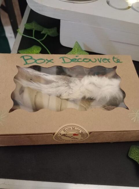 Box découverte mastication 10 86150 Nrignac