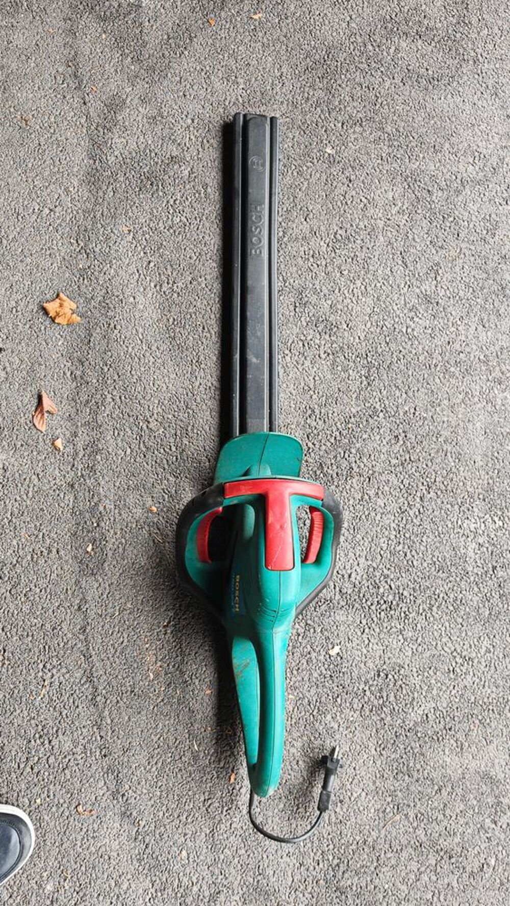 taille haie bosch Jardin