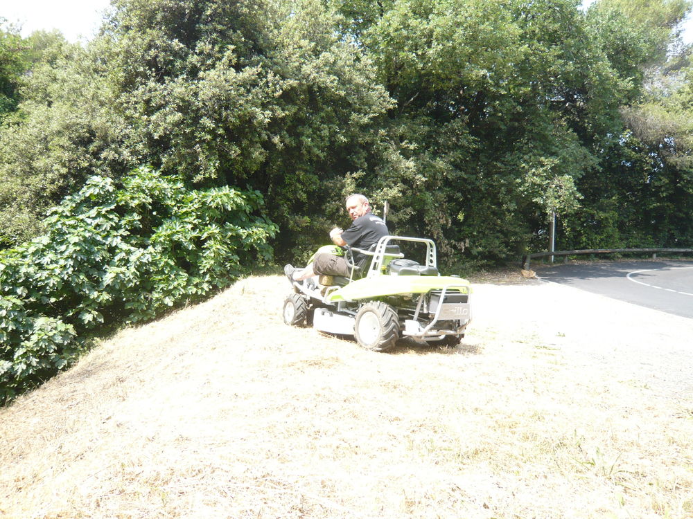 tondeuse d&eacute;broussailleuse autoport&eacute;e Jardin