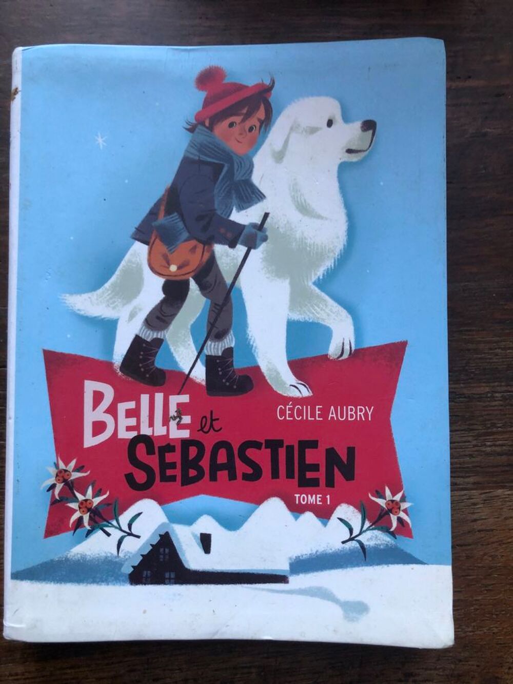Lot livres Livres et BD
