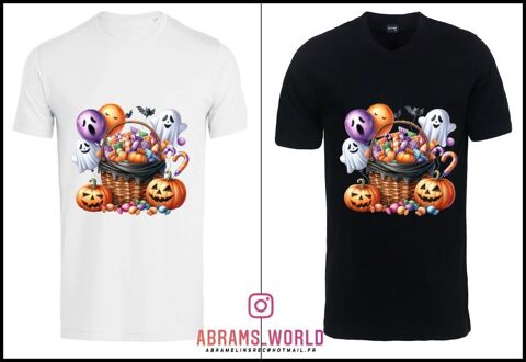 Visuels pour Tshirts Échassières (03)