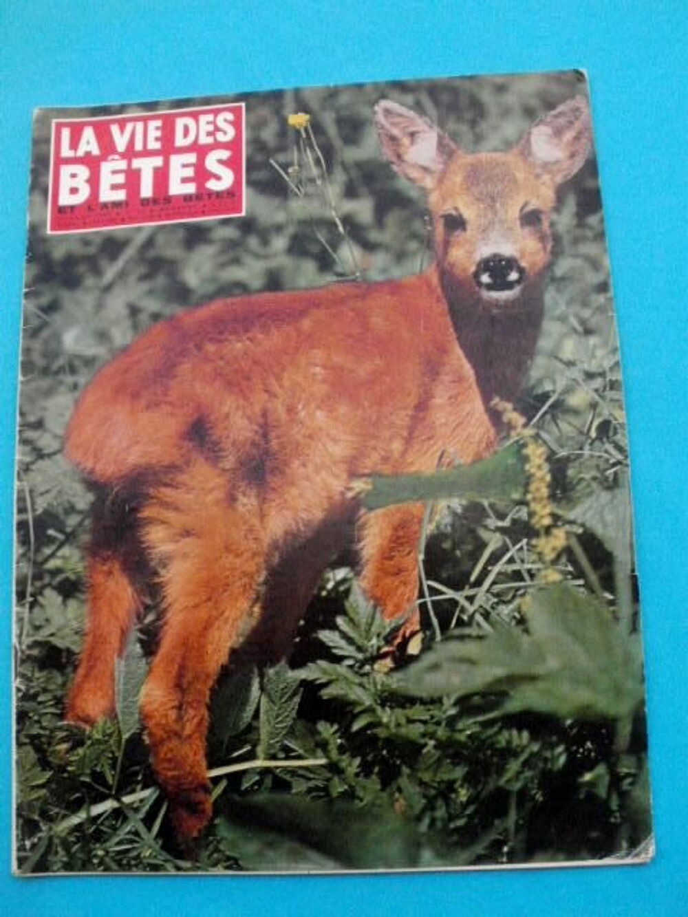 LA VIE DES BETES et l'AMI DES BETES N&deg; 96 Juillet 1966 Livres et BD