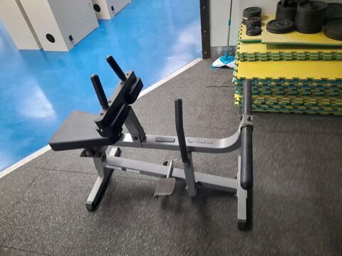 MACHINE DE MUSCULATION A MOLLET BODY*SOLID Berneuil-en-Bray (60)