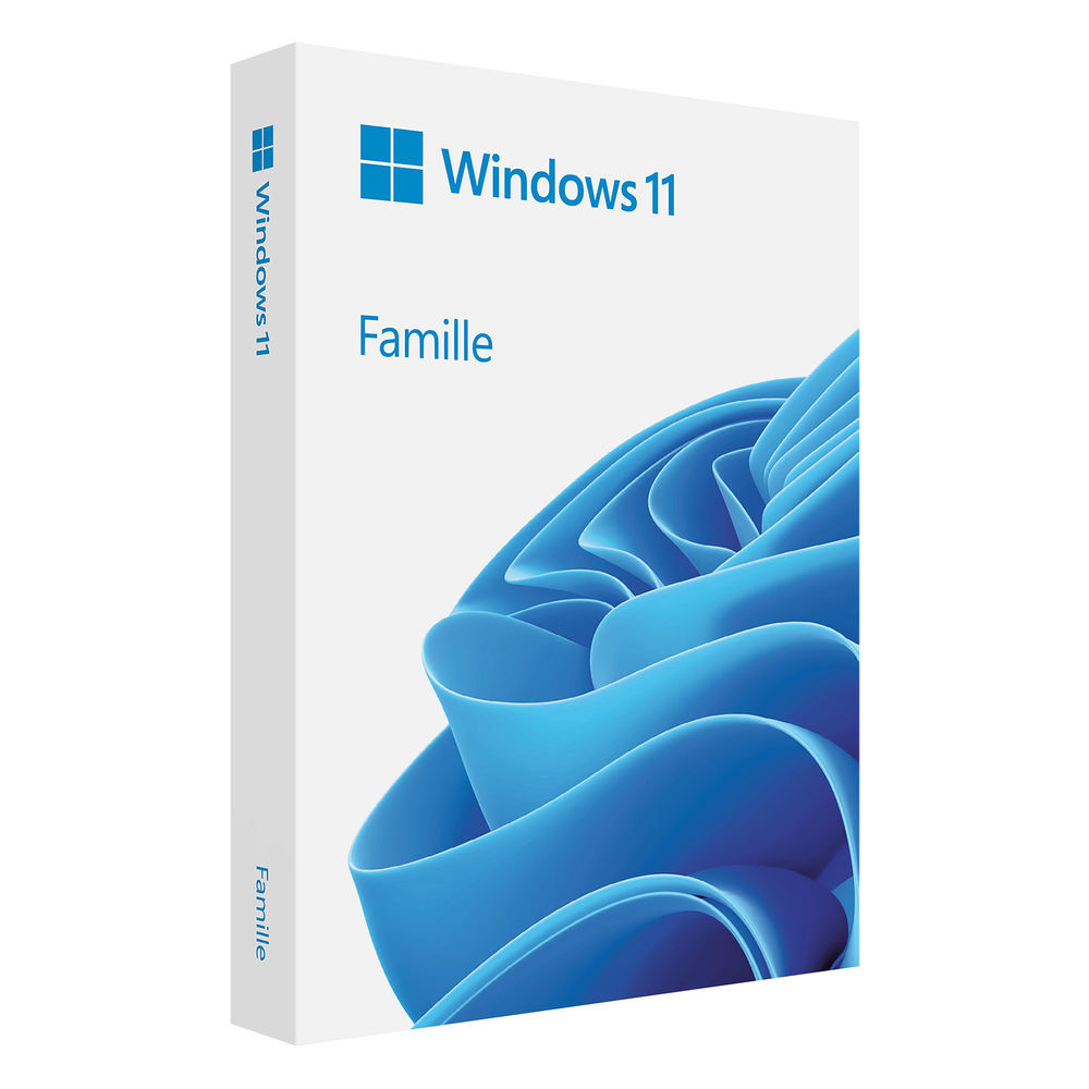 License Windows 11 / Cl&eacute; USB Matériel informatique