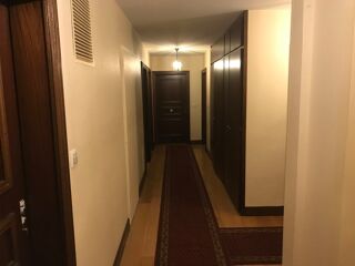  Appartement � louer 2 pi�ces 20 m�