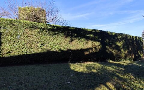 Jardini&egrave;re Paysagiste 0 69380 Marcilly-d'azergues