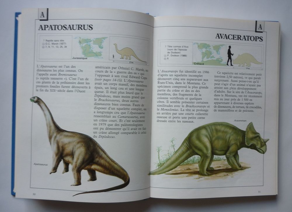 LES DINOSAURES DE A &agrave; Z Michael Benton (&Eacute;dit. ROUGE OR 1990) Livres et BD