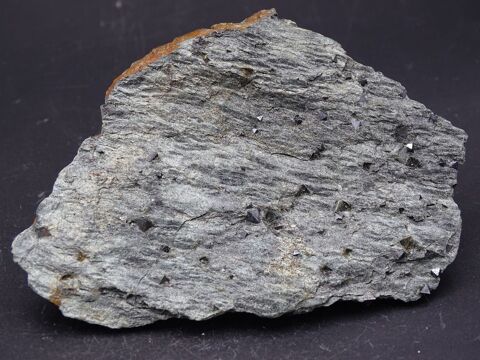 Chloritoschiste � Magn�tite & Pyrite Vermont  Chester Windso 22 Moyenmoutier (88)