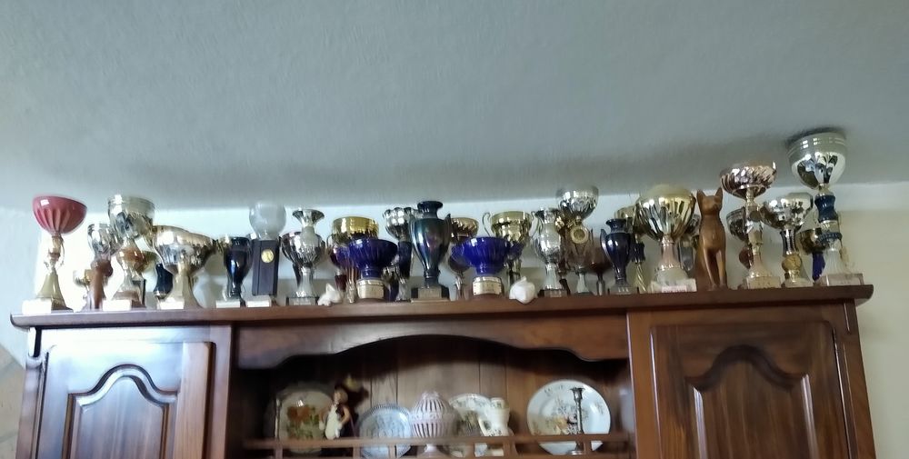 Coupes et troph&eacute;es 