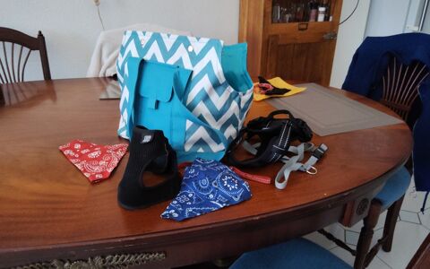 Sac transport petit chien, jamais servi, plus accessoires Marseillan (34)
