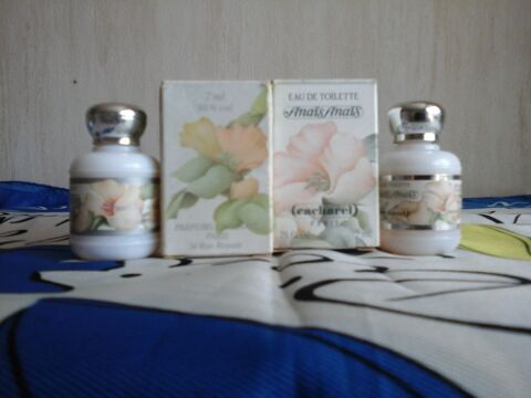 MINIATURE DE PARFUM 10 Trouy (18)