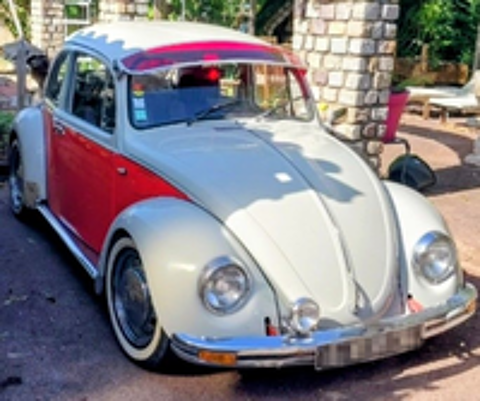 Divers Coccinelle 1980 occasion 83490 Le Muy