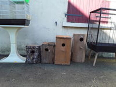   Cage     et accessoires  