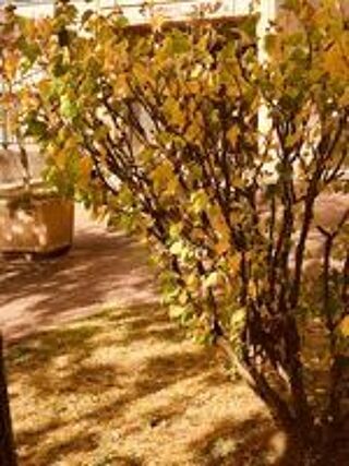  Appartement � vendre 3 pi�ces 65 m�