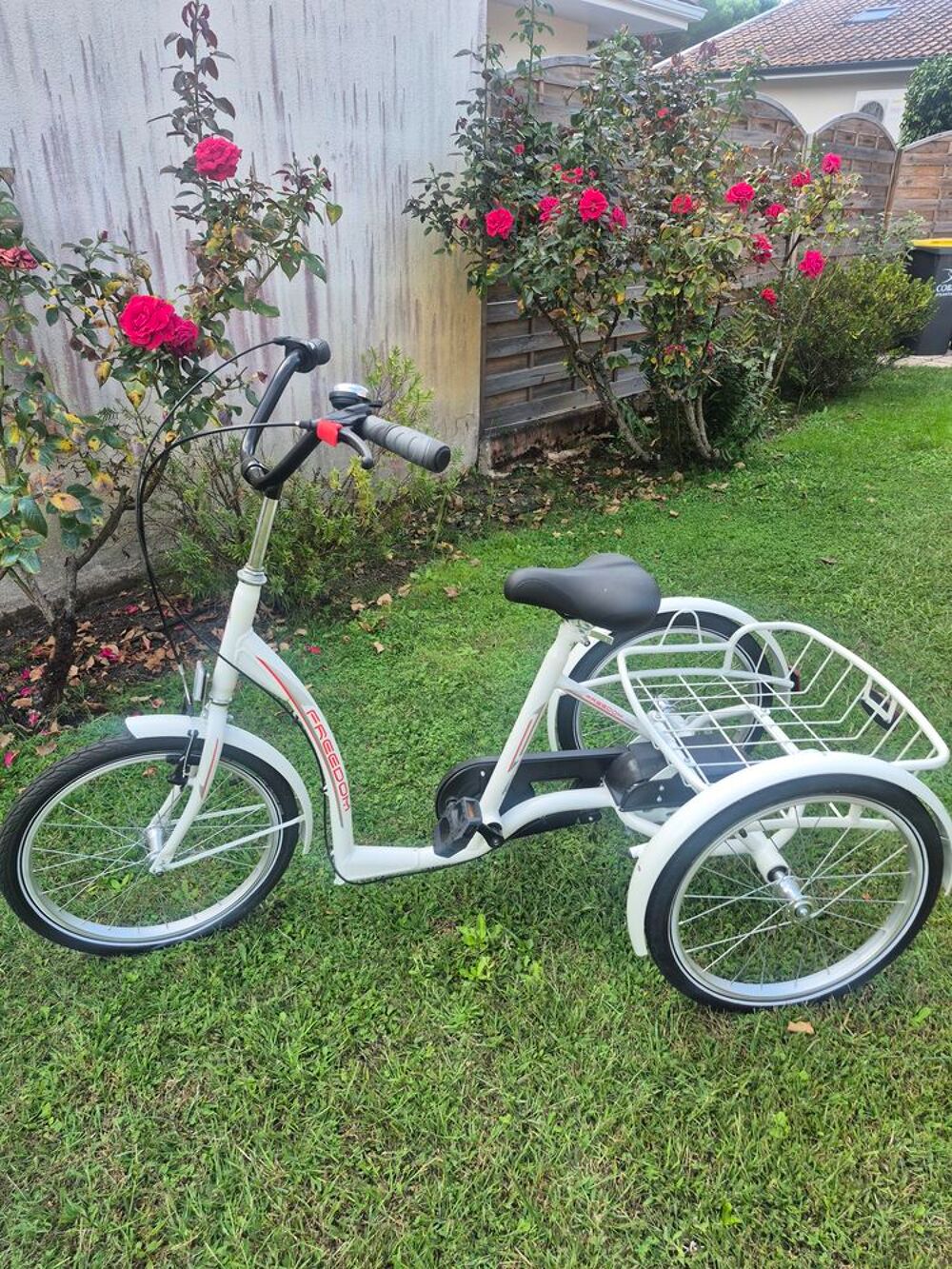 A SAISIR ETAT NEUF Vélos