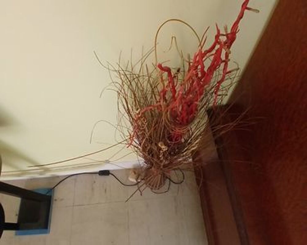 Arbre deco Décoration