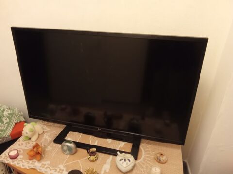 Tv grand �cran 300 L�e (64)