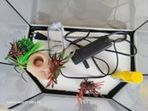   aquarium Aquatlantis Équipé filtre Blanc - 25L 
