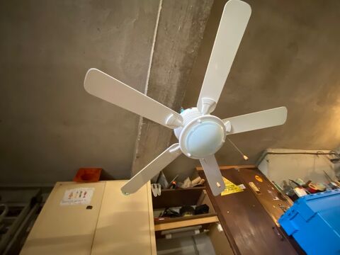 Ventilateur professionnel � suspendre 80 Rigarda (66)